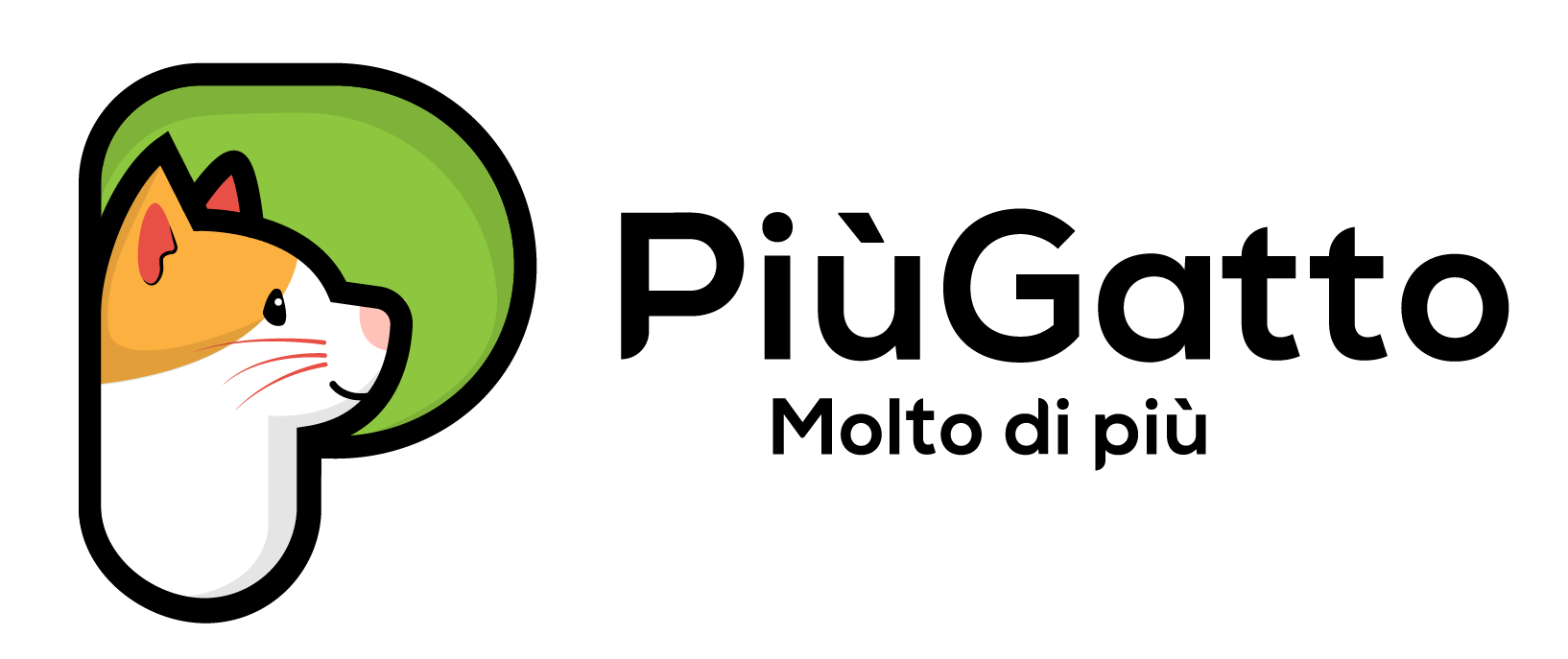 PiùGatto